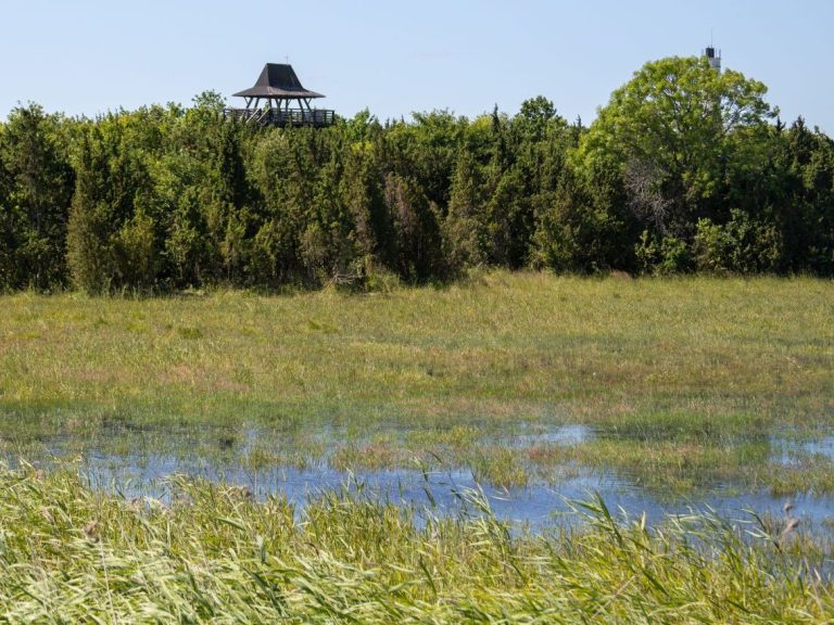 (Vögel-) Lehrpfad Orjaku Einfacher Wanderweg (2 km) im Naturschutzgebiet