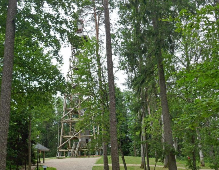 Schmalspurbahn Gulbene - Alūksne Ein schönes Erlebnis ist die Zugfahrt auf der einzigen aktiven baltischen Schmalspurbahn, erbaut im Jahre 1903