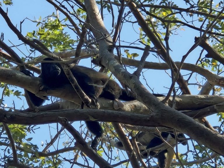 Auf der Insel Ometepe in Nicaragua